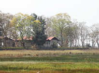 mtdc-tadoba
